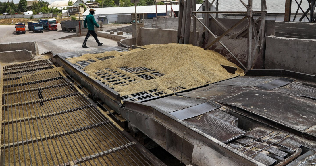 GRANOS RUSIA UCRANIA