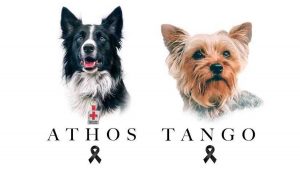 declaran-culpable-a-asesino-de-athos-y-tango-112732