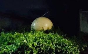 objeto del cielo en veracruz