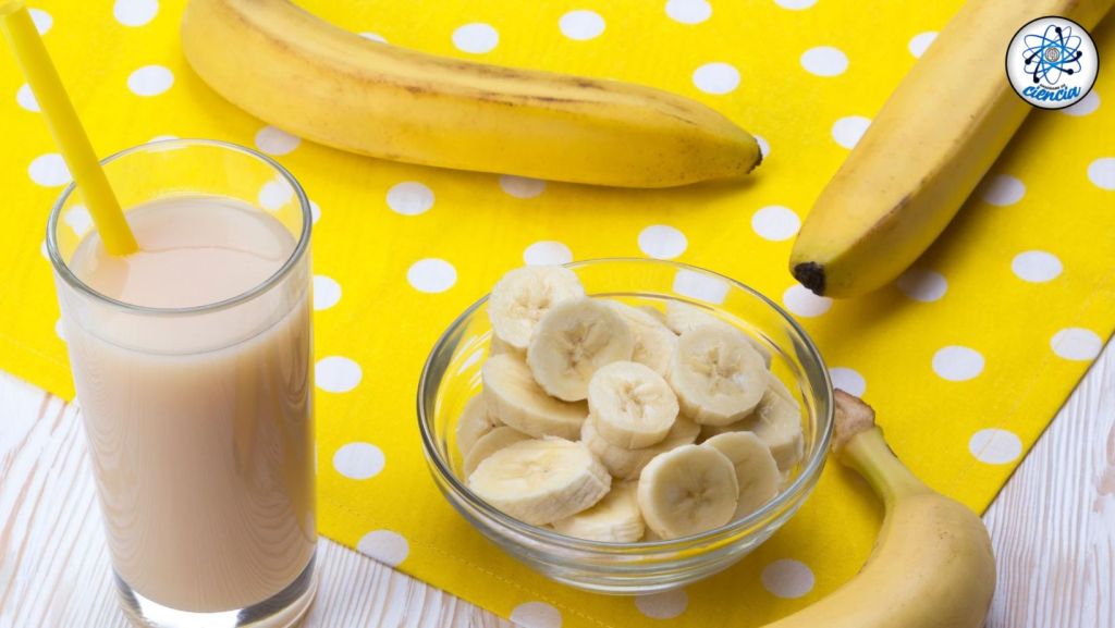 Copia-de-C-EdCiencia-P-2022-09-18T141526.256