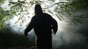 sasquatch or big foot in forest