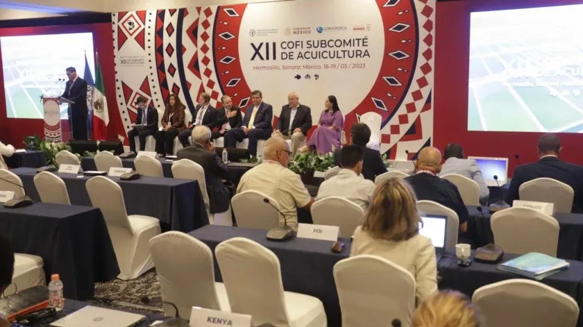 345878505_212889344845336_7576479509143375587_n_1.jpg_851672003