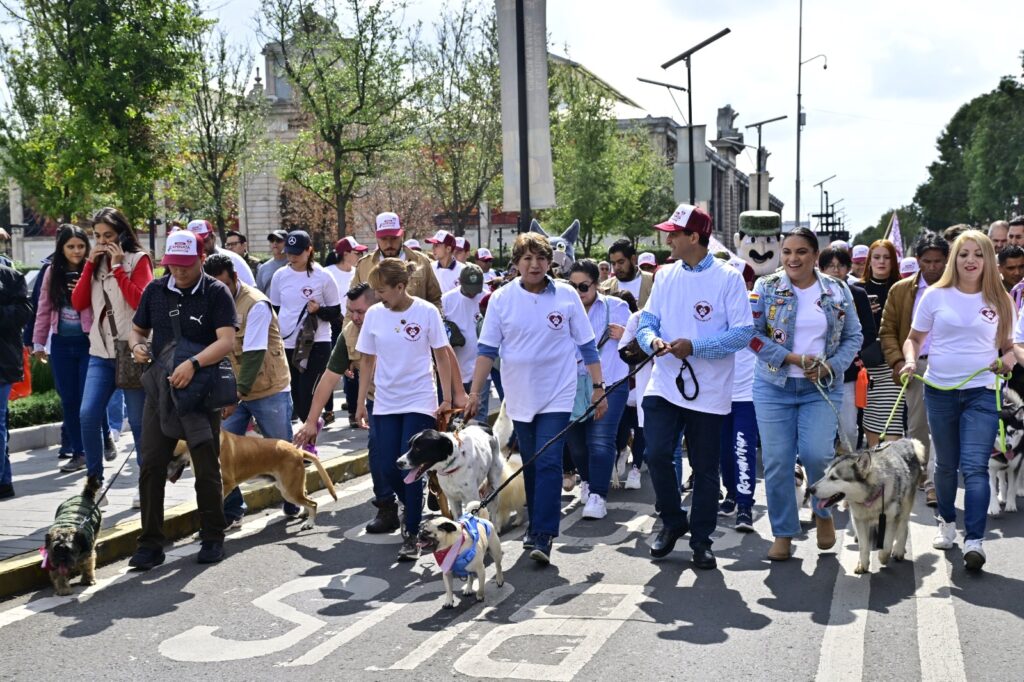delfina-gomez-caminata-a-favor-animales-1024x682