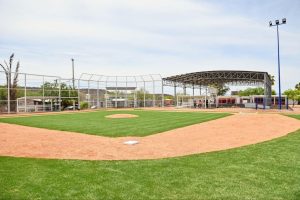 WhatsApp Image 2025-05-14 at 4.46.31 PM