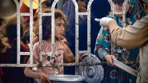 95a14ff0-51db-11f0-b293-81e1c23535ff