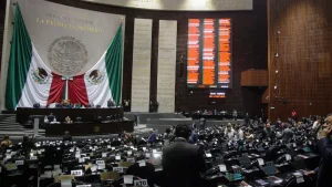 camara-diputados-debera-analizar-votar