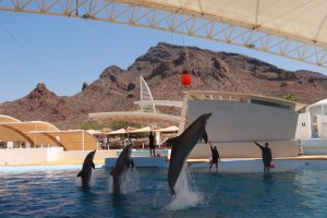 WhatsApp Image 2026-03-27 at 1.33.46 PM